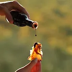 Acetaia Sereni * Marano sul Panaro