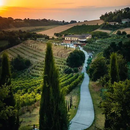 Acetaia Sereni Lantgård Marano sul Panaro