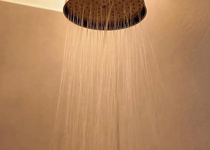 Acetaia Sereni Bauernhof *