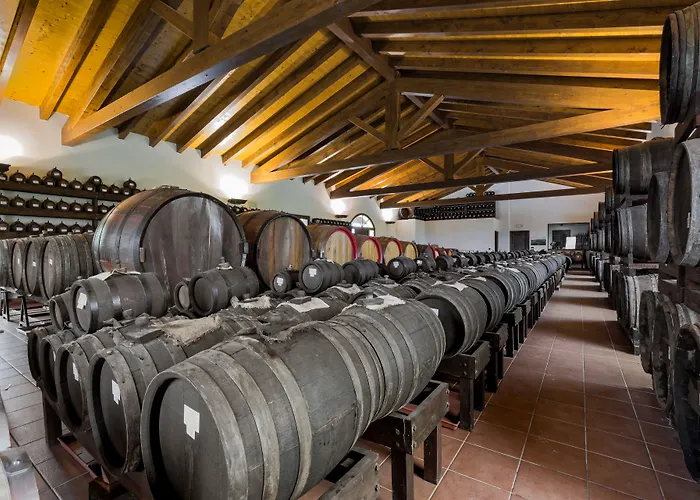 Bauernhof Acetaia Sereni Marano sul Panaro