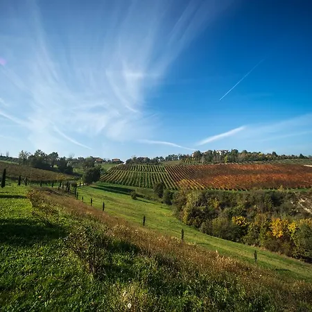 Acetaia Sereni Bauernhof