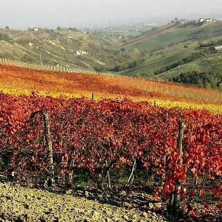 Acetaia Sereni