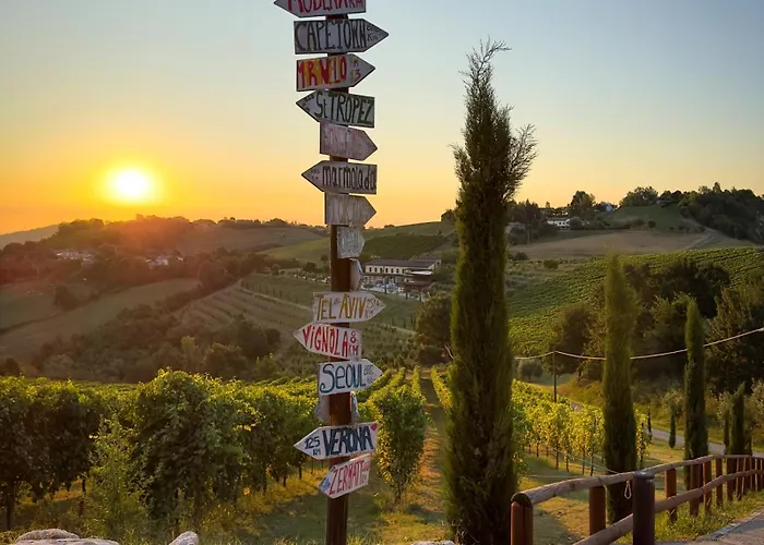 Acetaia Sereni * Marano sul Panaro