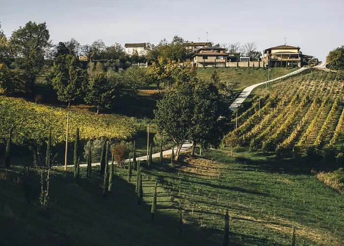 Vakantieboerderij Acetaia Sereni *