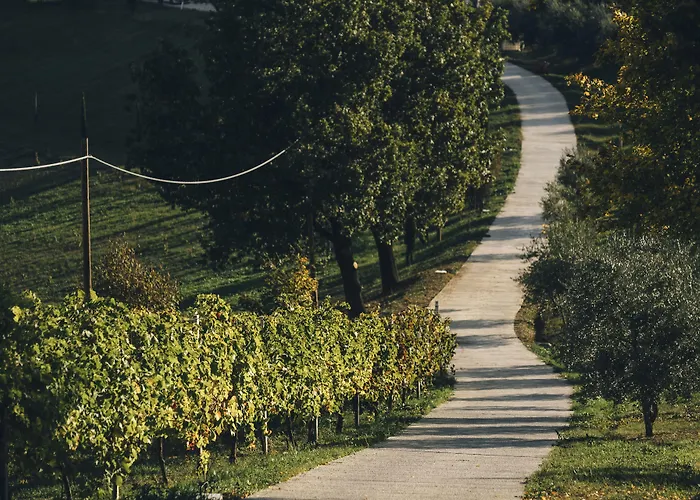 팜스테이 Acetaia Sereni *