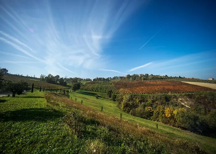 Acetaia Sereni Lantgård