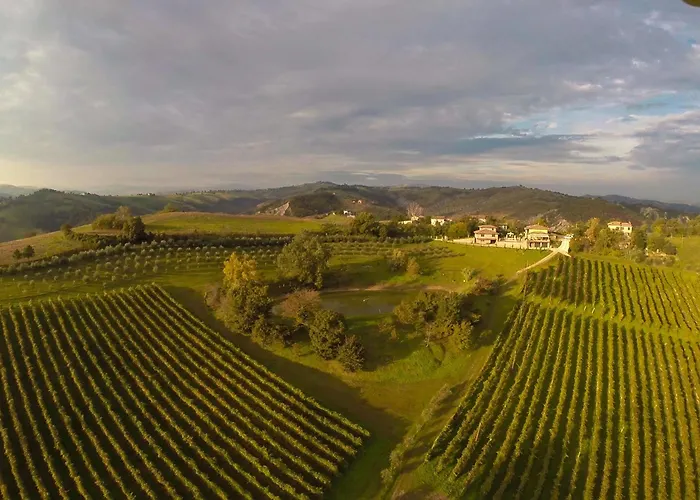 팜스테이 Acetaia Sereni