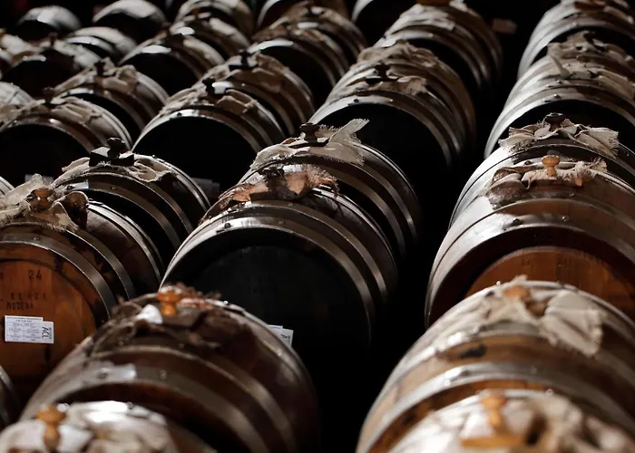 Acetaia Sereni 팜스테이